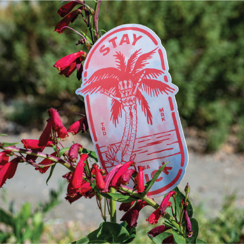 Buy Plant - Die cut stickers - StickerApp